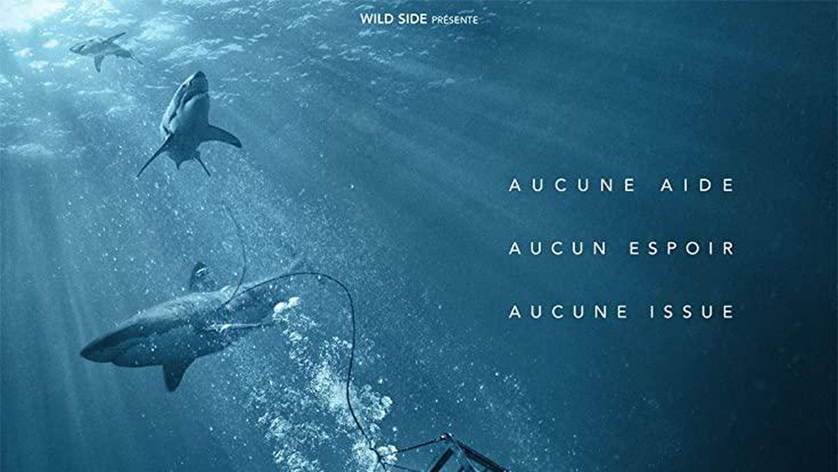 Ketegangan di Bawah Laut: Sinopsis dan Analisis Film '47 Meters Down: Uncaged
